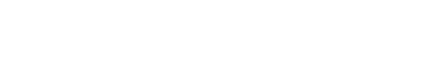 Luzz Project
