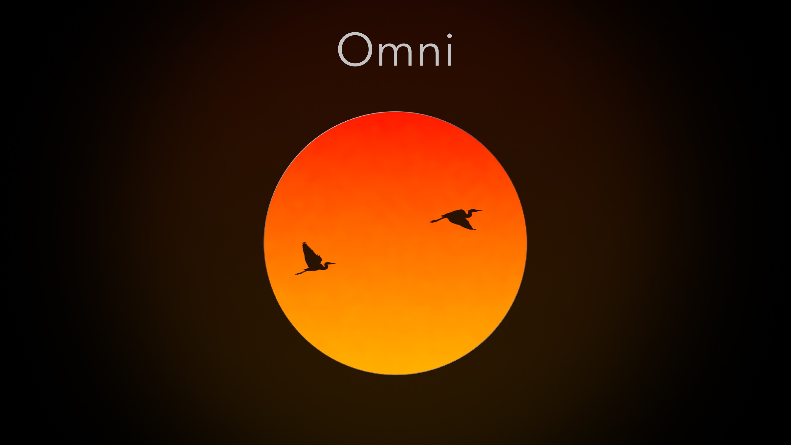 Omni, pantalla LED circular